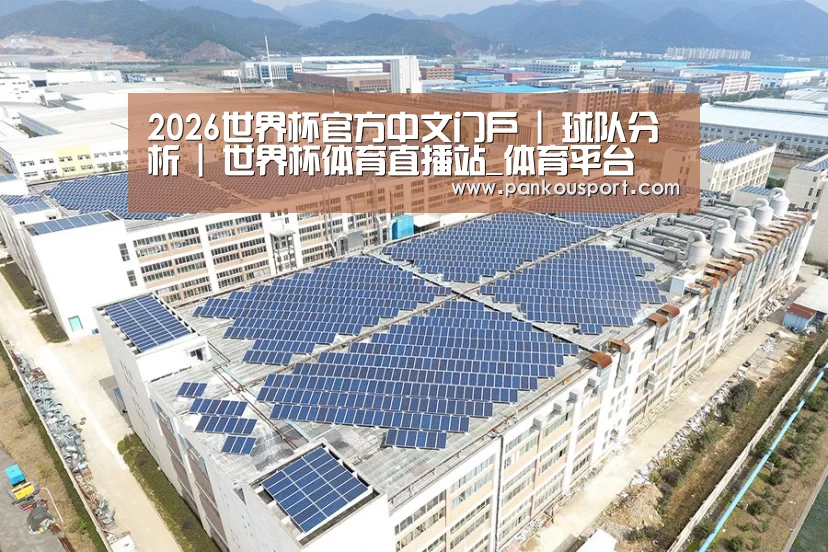 案例展示一