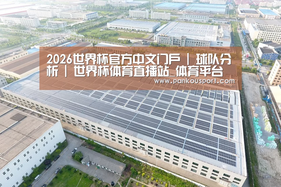 案例展示三