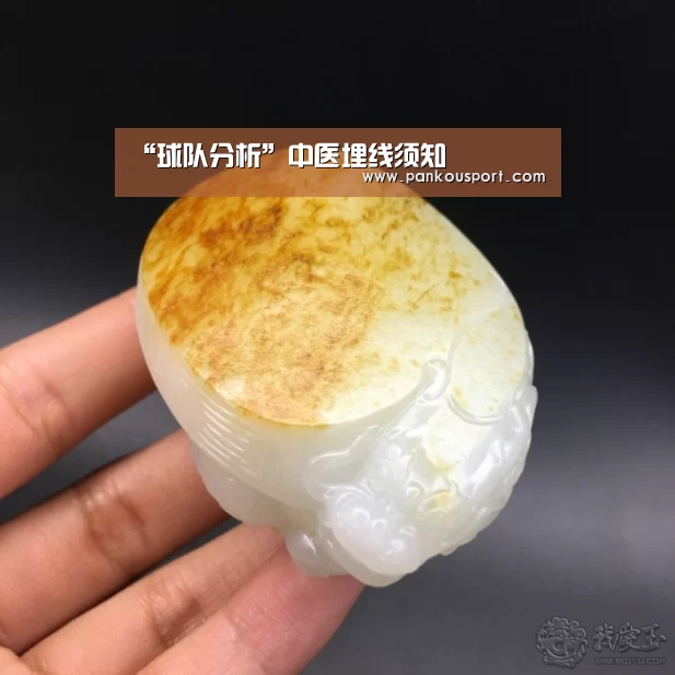 “球队分析”中医埋线须知(图2) 滚球数据